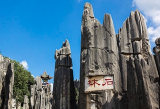 宅男在线观看家具-昆明分公司